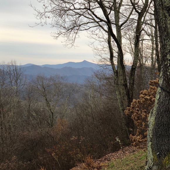 Meet your Posher, Robin - Picture 1 of 1